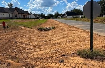 Restored grading along a residential roadside