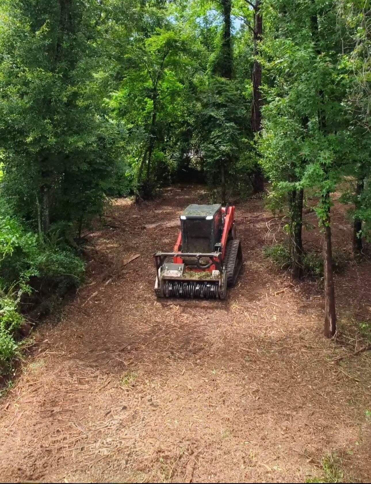 Gentry Landworks forestry mulcher opening a path through woodland