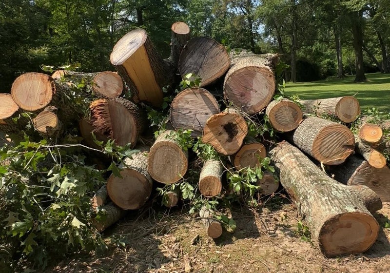Property & storm cleanup work by Gentry Landworks