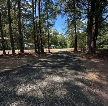 Finished gravel access through a stand of tall trees